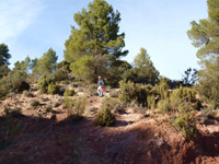 Rambla de la Escarabehuela, Enguídanos, Cuenca.   