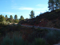 Rambla de la Escarabehuela, Enguídanos, Cuenca.          