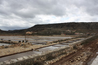 Salinas de Imoón. Guadalajara.