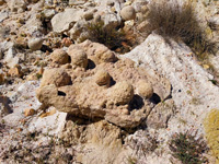  Cantera Eficacia, Las Arroyadas, Arcones, Comarca Tierras de Sepúlveda, Segovia 