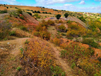 El Negredo. Riaza. Comarca Tierras de Riaza. Segovia 