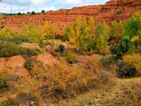 El Negredo. Riaza. Comarca Tierras de Riaza. Segovia 