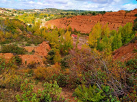 El Negredo. Riaza. Comarca Tierras de Riaza. Segovia 