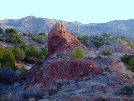 Barranco de Ojos. Aspe.  Alicante    