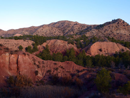 Barranco de Ojos. Aspe.  Alicante    