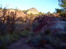 Barranco de Ojos. Aspe.  Alicante  