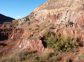 Cantera Alabastre. La Alcoraia. Alicante  