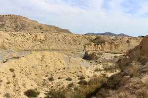 Canteras de arcilla el Pla. Agost.  Alicante