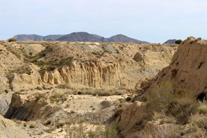 Canteras de arcilla el Pla. Agost.  Alicante