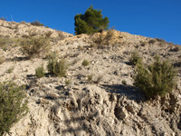 El Alcavó. Agost. Alicante    