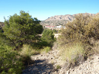 El Alcavó. Agost. Alicante    