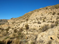 El Alcavó. Agost. Alicante     