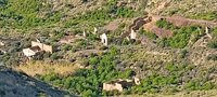 Mina Segundo Pensamiento. Peña del Águila, Sierra Minera Cartagena la Unión