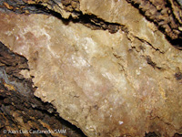 Mina de cobre las Tres Niñas. Rambla de la Carrasquilla. Lorca.  Murcia Cuarzo y Pistacita xx de 2 cm Albatera  