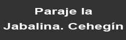 Paraje la Javalina. Cehegín. Murcia.